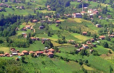 Ordu'da arazi anlaşmazlığı kavgası!