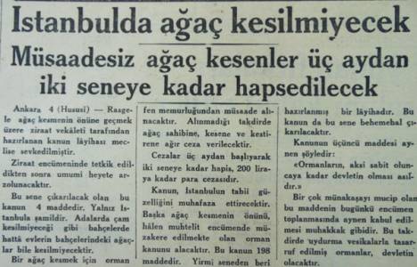 1934 yılında İstanbul'da ağaç kesmenin cezası 2 seneye kadar hapismiş!