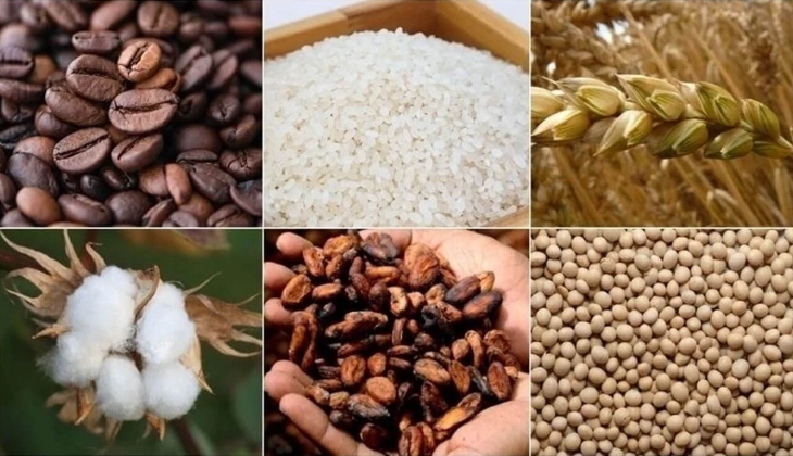 Emtia piyasasında sert düşüşler hakim: Altın, gümüş, petrol, buğday, mısır fiyatlarında son dakika! 