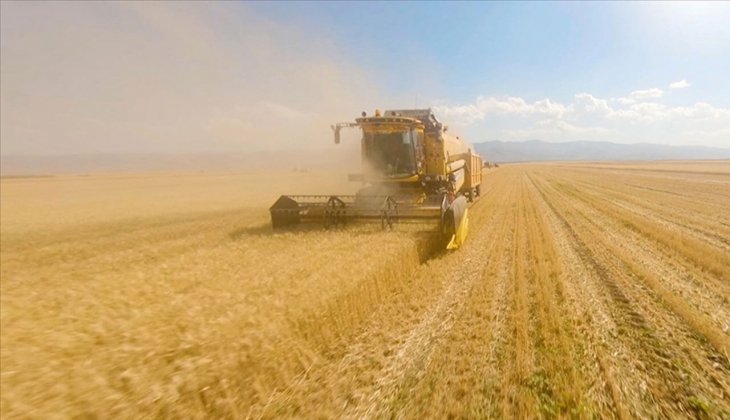 TMO 495 bin ton buğday ithal edecek! Buğday fiyatları hangi borsada ne kadar? İşte 19 Ekim 2022 fiyat listesi...