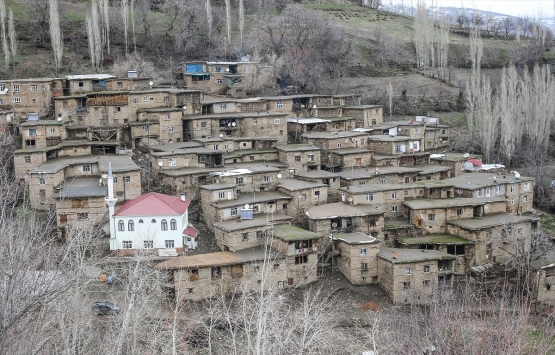 Bitlis Hizan'ın ilginç taş evleri!