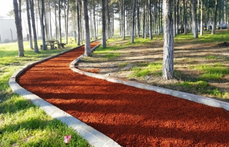 Tekirdağ İnanlı Mesire Alanı yenileniyor!