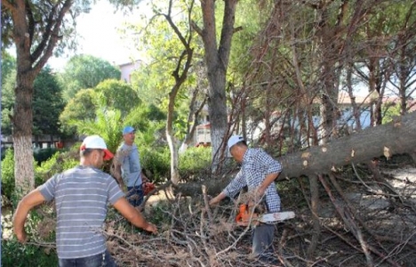Balıkesir'de kuvvetli lodos nedeniyle kumsallar su altında!