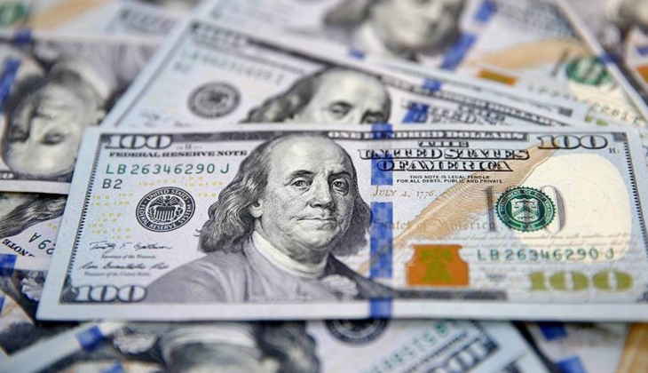 Ünlü ekonomistten dolar yatırımcısına müjdeli haber! Dolar bu tarihte fırlayacak!