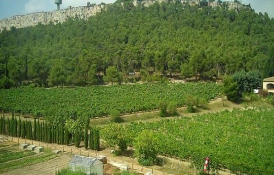 AOÇ'deki 1 milyon metrekarelik alan imara açıldı!