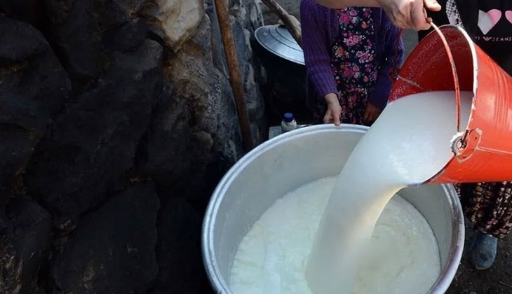 Süt üreticilerinden son dakika açıklaması: Süt destekleme primi artırılmalı!