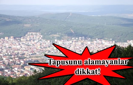 Pendik tapu