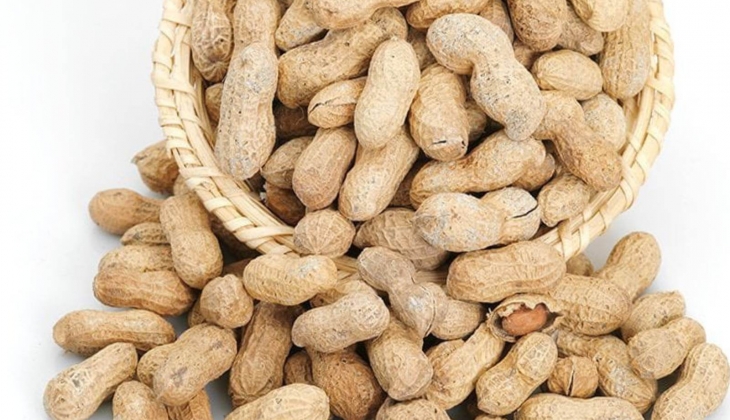 Yerfıstığı Borsası Gıda nın konkordato talebi reddedildi!