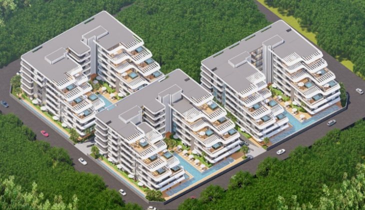 The Love Collection nerede? Aralık 2024 güncel fiyat listesi!