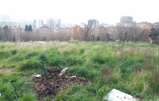 TOKİ Tozkoparan Kentsel Dönüşüm Projesi için düğmeye bastı!