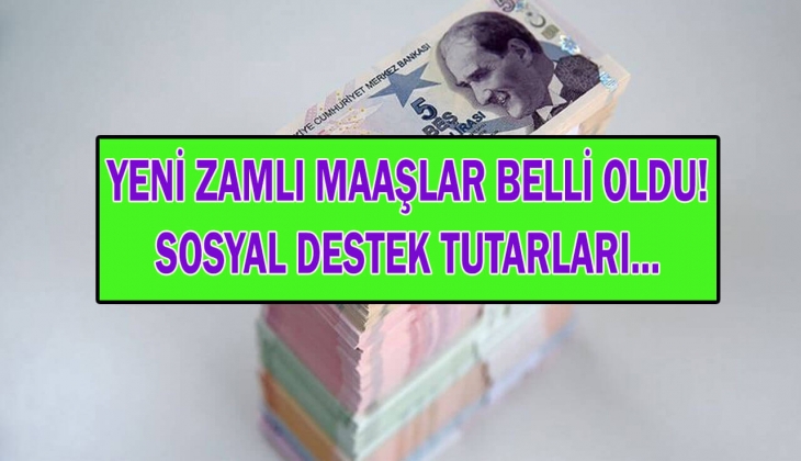 65 yaş aylığı, engelli aylığı, evde bakım parası Ocak zammıyla kaç TL olacak? Maaşlar tek tek hesaplandı! Şimdi bakın!