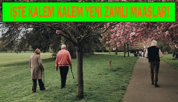 Emekli ve memur Temmuz zammında son dakika gelişmesi! Yeni rakamlar netleşti! En düşük emekli ve memur maaşı kaç TL?