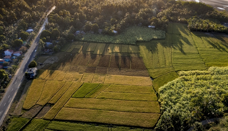 Milli Emlak’tan Kasım 2024 ün son fırsatı!  İzmir ve Antalya’da KDV’den muaf arazi satacak!