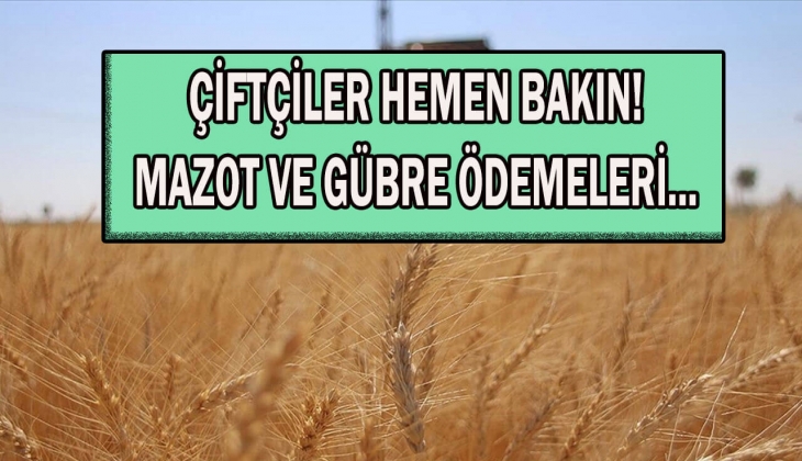 Çiftçiler dikkat! Mazot ve gübre desteğinde yeni yıl sürprizi olacak mı? Mazot gübre desteğinde büyük şok!