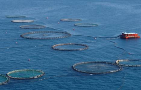 Su Ürünleri Gen Bankası ve Biyoteknoloji Merkezi kuruluyor!