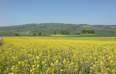 Silivri yolçatı imar planı