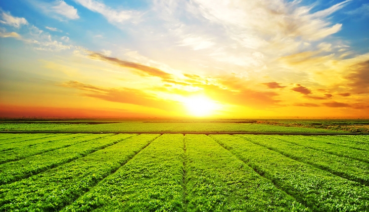 Arsa yatırımın yıldızı giderek daha da parlıyor!