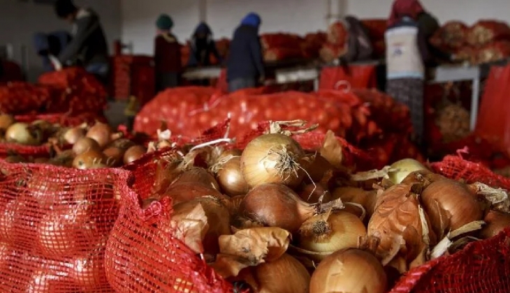 Zam şampiyonu soğanın fiyatı düşüşe geçti! Soğan ne kadar, kaç TL oldu?
