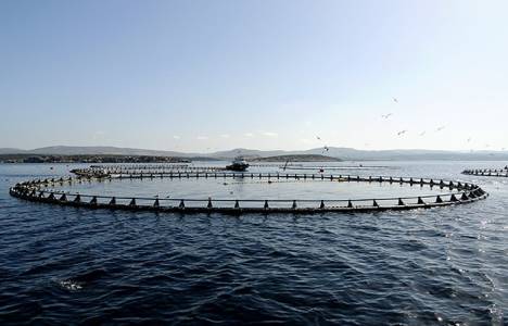 Japonya 280 adayı kamulaştırıyor!