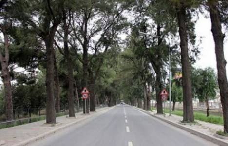 Ağaçlıyol'daki arazileri alan şirketlerle sözleşme imzalanacak!