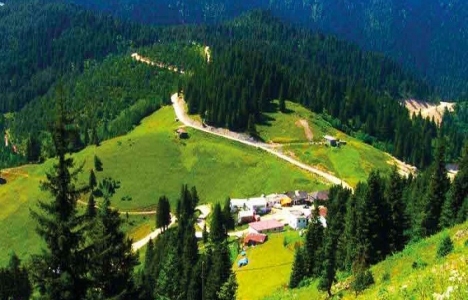 Trabzon Erikbeli Yaylası'na 12 milyon TL'lik turizm yatırımı!