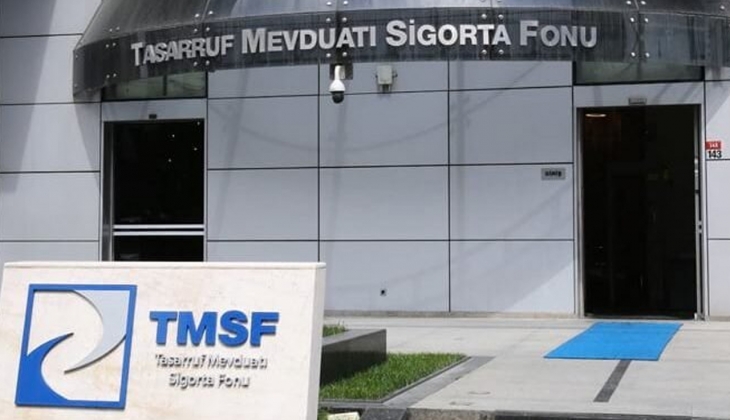 TMSF elindeki iki şirketi satışa çıkardı