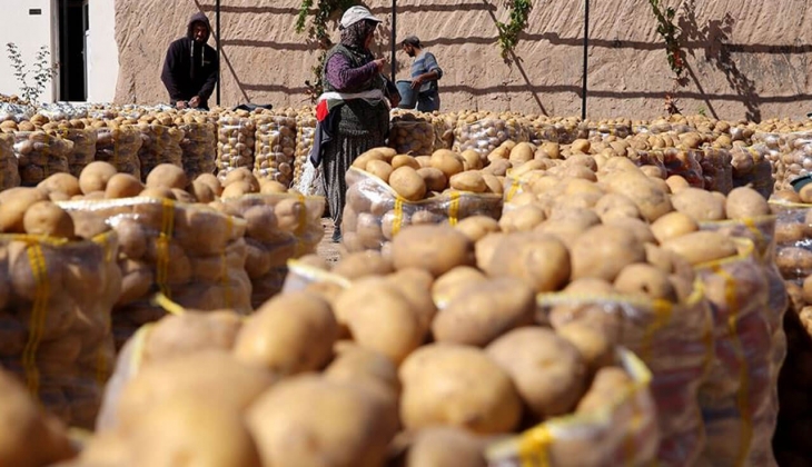 Ucuza patates yemek hayal oluyor! Patates fiyatları yüzde 342 zamlandı! İşte 11 Mayıs 2022 fiyat listesi