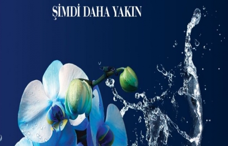 Kaşmir Mavi Orkide projesinde neler var?