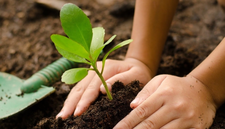 Hibe olarak üreticiye verilen yağlık ayçiçeği tohumları toprağa ekildi!
