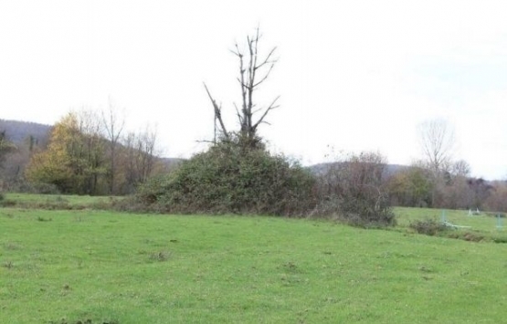 Mustafa Vehbi Koç Golf Tesisi için yeni imar planı!