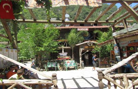 Türk turizmine ağaç evle alternatif katkı yapıyor!