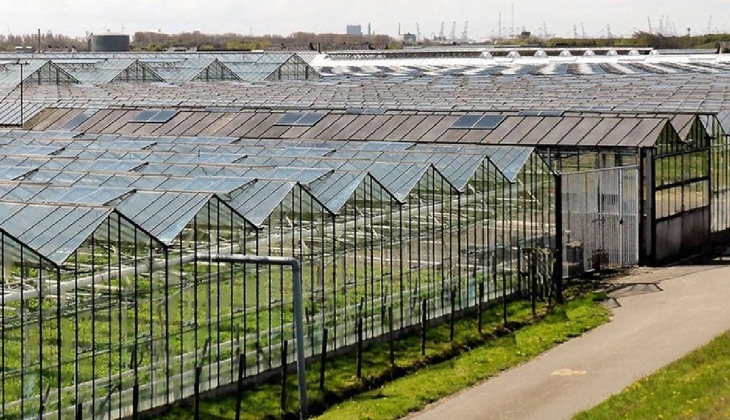 Yüzde 8'i iflas bayrağını çekmek üzere, dünya şokta! Kriz orayı da vurdu, sonumuz korkunç