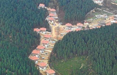 Orman tahdidinin iptali!