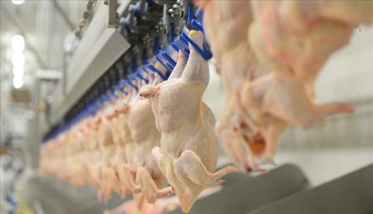 Migros'tan Birlikten Berekete kampanyası! Beyaz et 69 TL'ye düştü! 