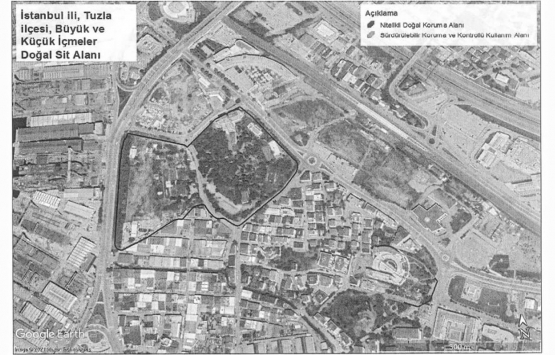 Muğla Sığla Ormanları koruma alanı olarak tescillendi!