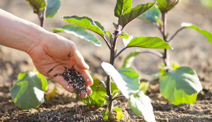 Gübre Fiyatlarındaki Zam, Çiftçileri Zorluyor: Gübre Şirketlerinin 2023 Bilançoları Açıklandı!