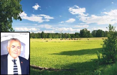 Özben Örs: Arsa yatırımı kazandırır!