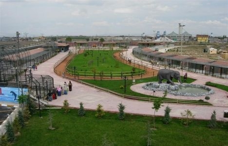 Karatay Belediyesi arsa ihalesi