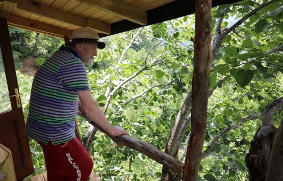 Artvin Arhavi deki ağaç evlere talepler arttı!