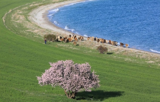 Prof. Dr. Naci Görür den Van depremi için uyarı! 