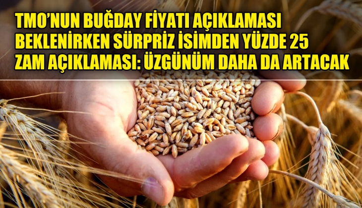 Gözler TMO'dayken en yetkili isim 'Üzgünüm' diyerek açıkladı: Buğday fiyatları yüzde 25 zamlandı daha da artacak!