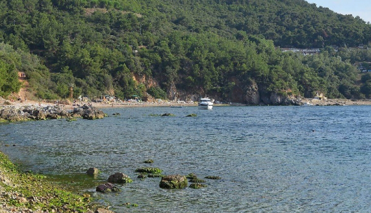 Burgazada Madam Martha Koyu’nun kiralama ihalesine tepki: Belediye iptali dava açtı!