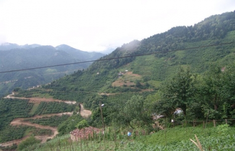 Trabzon Arsin'e adrenalin ormanı kurulacak!