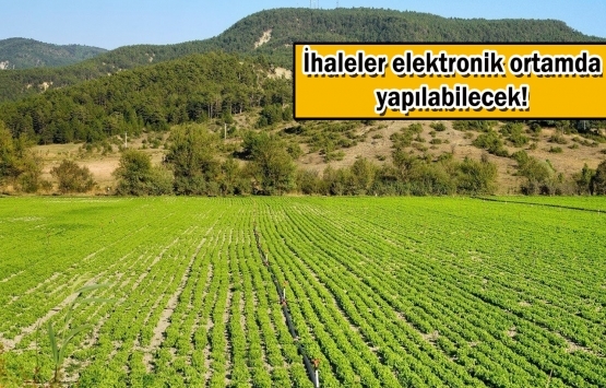 Hazine taşınmazlarının satışına koronavirüs düzenlemesi! 