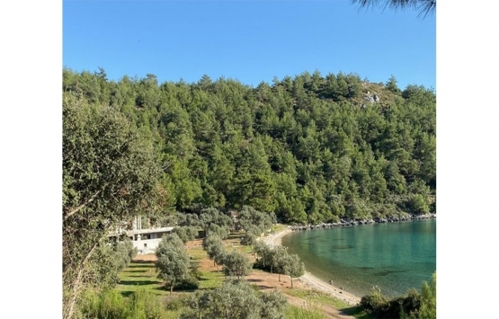 Muğla Molla İbrahim Koyu’ndaki kaçak yapılaşma pes dedirtti!