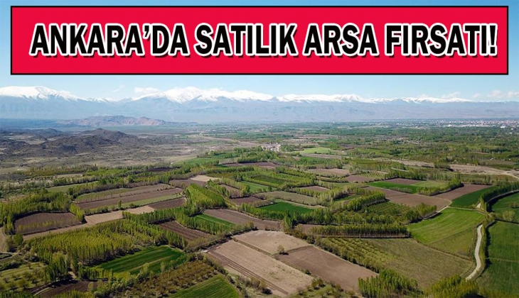 Milli Emlak'tan Ankara'da büyük fırsat! 180 bin liraya imarlı arsa satıyor!