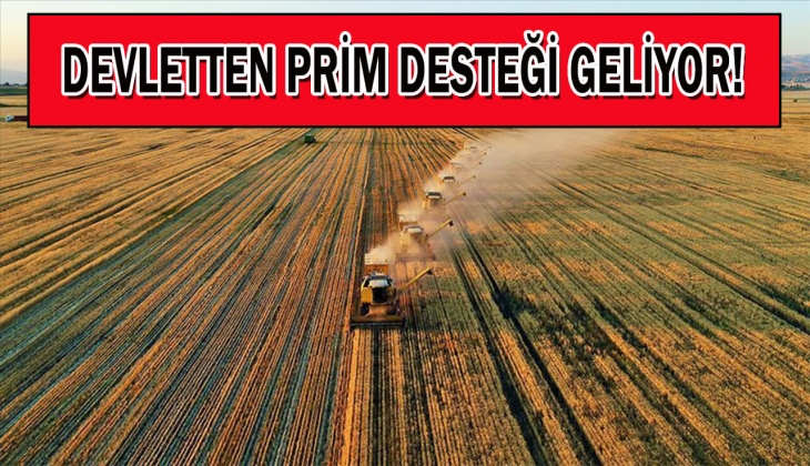 Çiftçilere bomba müjde! Tarımda 'İngiliz modeli' hazırlığı başladı: Devlet gelir garantisi verecek!