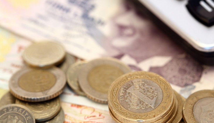 Döviz korumalı mevduatlar azalırken Türk Lirası ne durumda?
