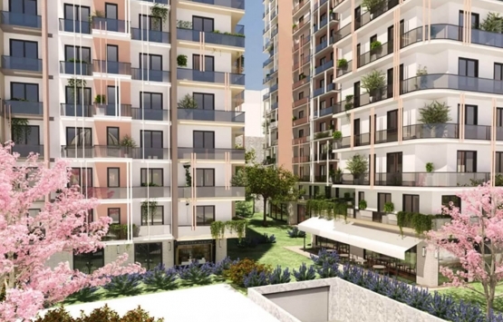 Mari Vadi Evleri geliyor! Yeni proje!