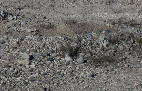 Türkiye'nin ilk kaya gazı kuyuları açıldı!